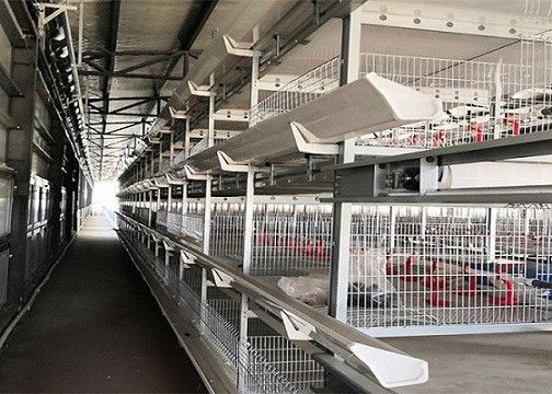 OEM / ODM Steel Structure Farm Poultry Layer Prefabricated Chicken House