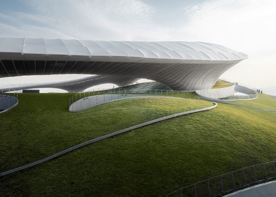 Customized Steel Structure Stadium Q355 Prefab Metal Buildings Gymnasium