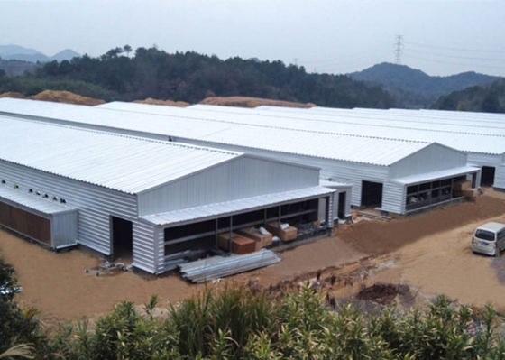 Galvanized Steel Structure Farm Windproof Steel Frame Chicken Coop