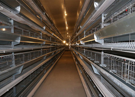 Galvanized Steel Structure Farm Windproof Steel Frame Chicken Coop