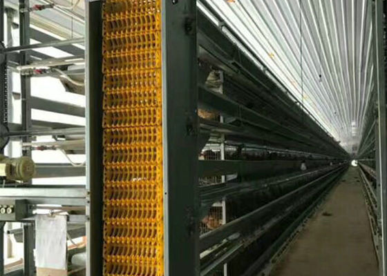 Q235B / Q355B Steel Structure Farm Chicken House Fireproof GB