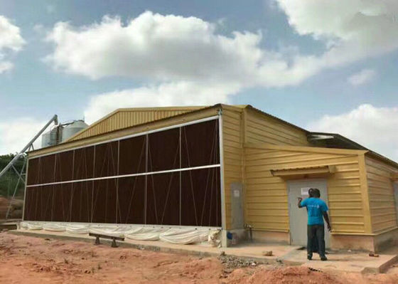 Q235B / Q355B Steel Structure Farm Chicken House Fireproof GB