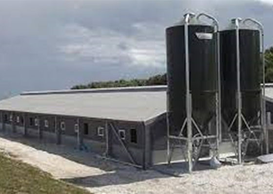 Prefab Steel Portal Frame Structure Construction Windproof Pig House