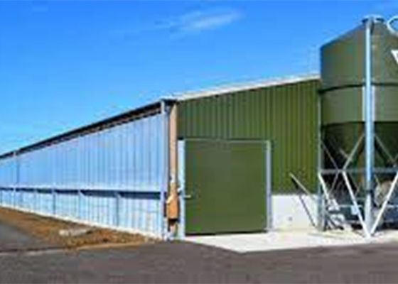 Prefab Steel Portal Frame Structure Construction Windproof Pig House
