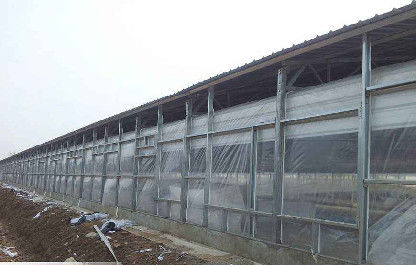 OEM / ODM Steel Structure Pig House Fireproof Prefab Farm Buildings