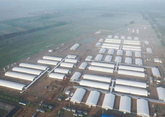 Q355 / Q235 Steel Structure Pig House Fireproof Industrial Steel Buildings