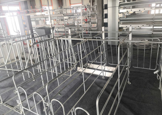 Fabricated Prefab Steel Structure Pig House Galvanised Industrial