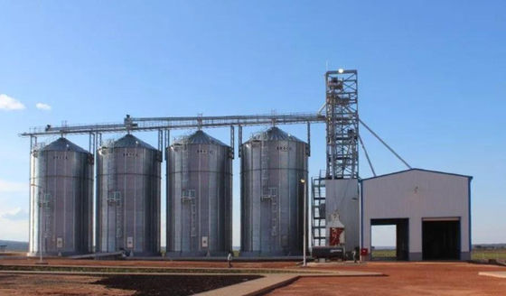 Q355B Q235B Steel Structure Platform Prefab Steel Warehouse Construction
