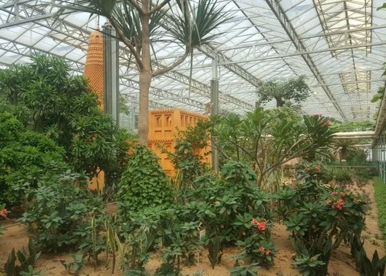 Green Plant Garden Tempered Glass Greenhouse For Large Ornamental Flowers