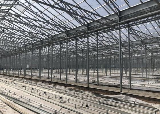 Green Plant Garden Tempered Glass Greenhouse For Large Ornamental Flowers