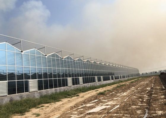 Green Plant Garden Tempered Glass Greenhouse For Large Ornamental Flowers
