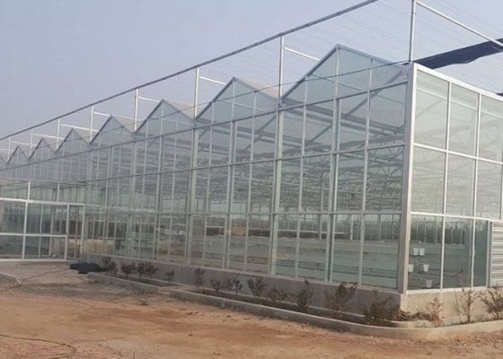 High Grade Galvanized Pipe Greenhouse Glass Covering Commercial