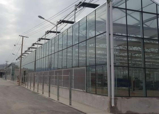 High Grade Galvanized Pipe Greenhouse Glass Covering Commercial