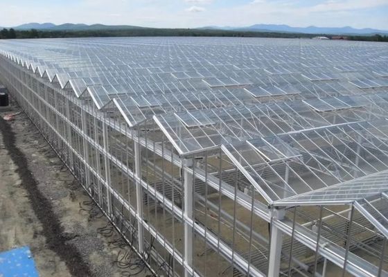 High Grade Galvanized Pipe Greenhouse Glass Covering Commercial