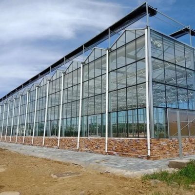 Vegetable Cultivation Soilless Culture Glass Greenhouse Multilayer Planting