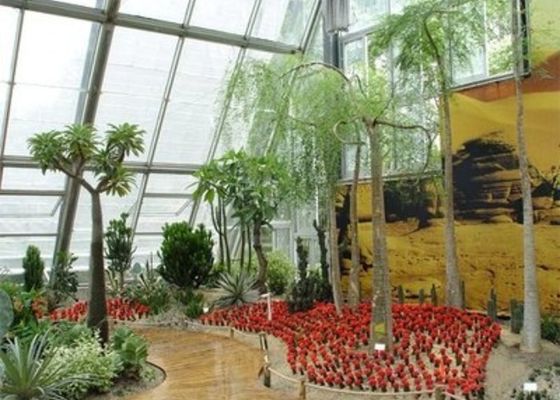 Winter Garden Sunlight Room Small Steel Venlo Glass Greenhouse Laid Back