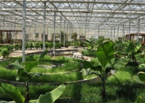 Galvanized Pipe Sightseeing Greenhouse Restaurant Custom Shaped 4600㎡