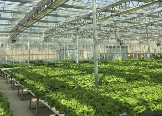 Sightseeing Venlo Glass Greenhouse Custom Shaped Glass Covering Greenhouse