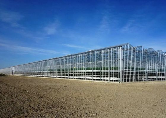 Sightseeing Venlo Glass Greenhouse Custom Shaped Glass Covering Greenhouse