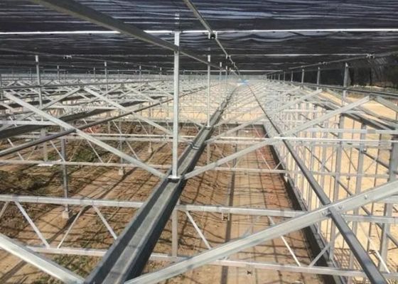 Sightseeing Venlo Glass Greenhouse Custom Shaped Glass Covering Greenhouse