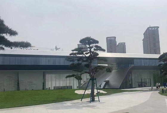Q355B Q235B Commercial Prefabricated Steel Building Steel Structure