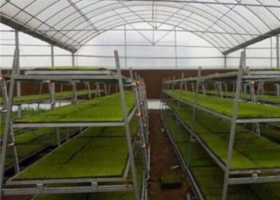 Custom Shaped Glass Seedling Greenhouse / Nursery Bed Breeding / Movable Seedbed