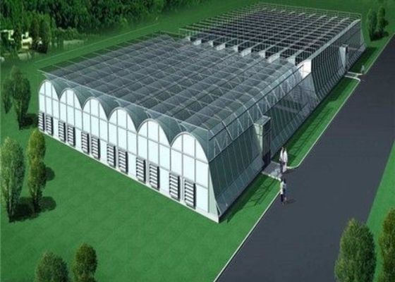 Custom Shaped Glass Seedling Greenhouse / Nursery Bed Breeding / Movable Seedbed