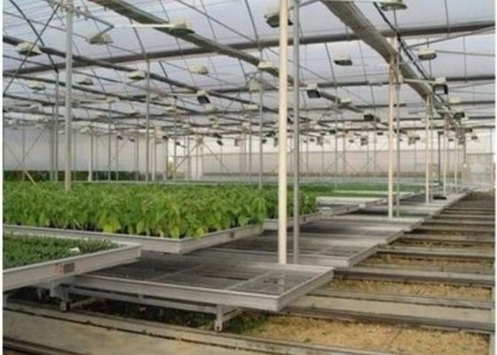 Custom Shaped Glass Seedling Greenhouse / Nursery Bed Breeding / Movable Seedbed