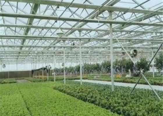 Custom Shaped Glass Seedling Greenhouse / Nursery Bed Breeding / Movable Seedbed