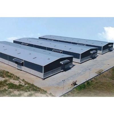 Steel Frame Workshop Building Structural Warehouse Construction