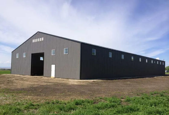 Prefabricated Steel Structure Commercial Warehouse Building
