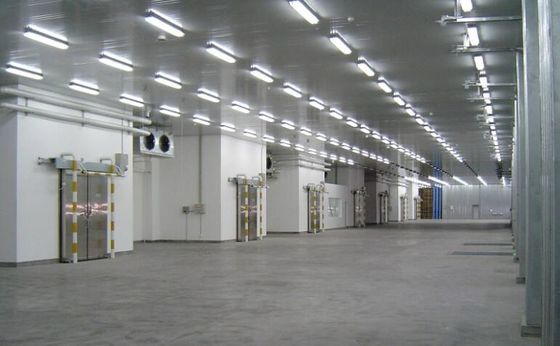 Insulation Optional Steel Structure Warehouse With Color Steel Sheet Wall