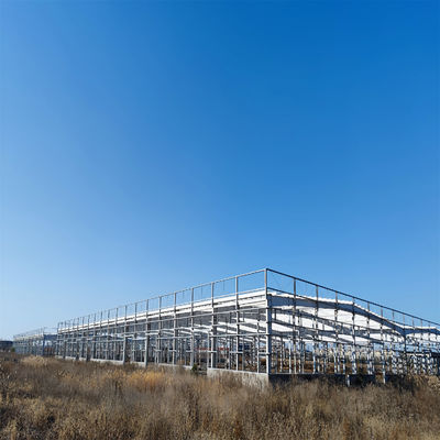 Steel Structure Building Frame Structure Metal Warehouse Workshop