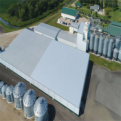 Rolling Doors And Steel Construction For Steel Structure Warehouse Solutions