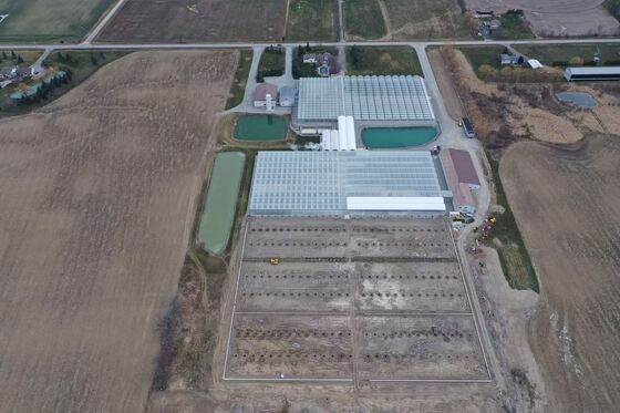 Wenluo Sightseeing Glass Greenhouse - Large-scale Vegetable Planting Greenhouse