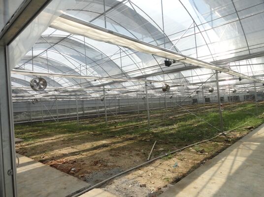 Continuous-span plastic greenhouse for vegetable cultivation