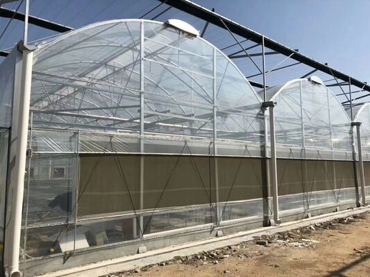Continuous-span PE film greenhouse, used to enhance and accelerate the ripening of vegetables