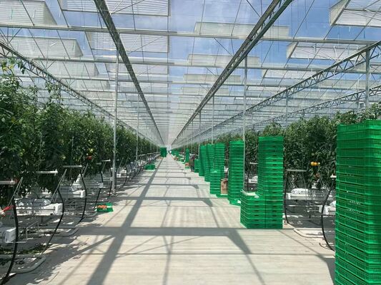 Agricultural planting use, Wannuo sightseeing glass greenhouse