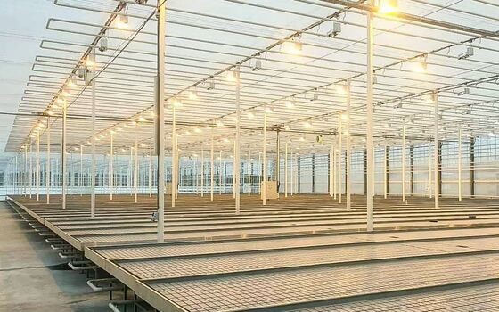 Agricultural planting use, Wannuo sightseeing glass greenhouse