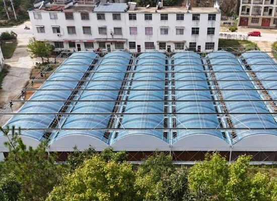 A continuous-span polyethylene film greenhouse used to increase vegetable yields and accelerate the maturation process of vegetables