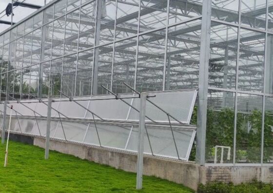 Wenlu Tourist Glass Greenhouse - Large-scale Fruit Planting Greenhouse