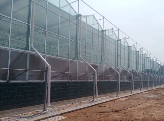 Wenlu Tourist Glass Greenhouse - Large-scale Fruit Planting Greenhouse