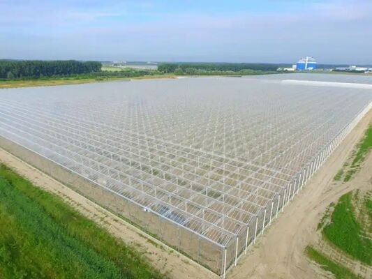 Wenlu Tourist Glass Greenhouse - Large-scale Fruit Planting Greenhouse
