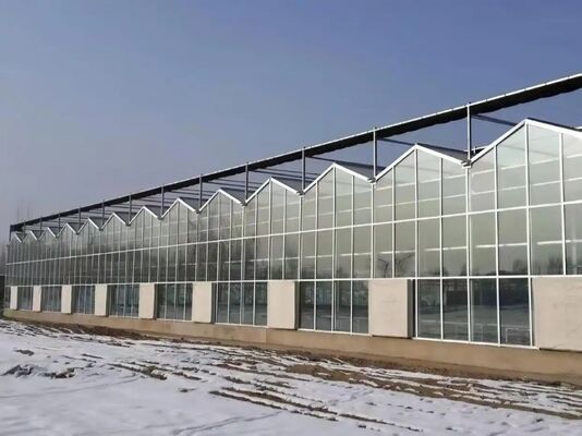 Fruit cultivation greenhouse, large Woonloos sightseeing glass greenhouse