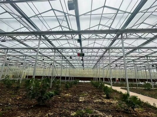 Fruit cultivation greenhouse, large Woonloos sightseeing glass greenhouse