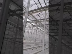 Vegetable Cultivation Soilless Culture Glass Greenhouse Multilayer Planting